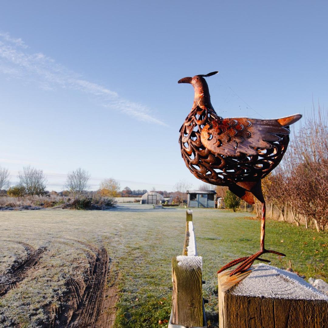 The Pheasant Public House & Hotel Gestingthorpe Exteriör bild