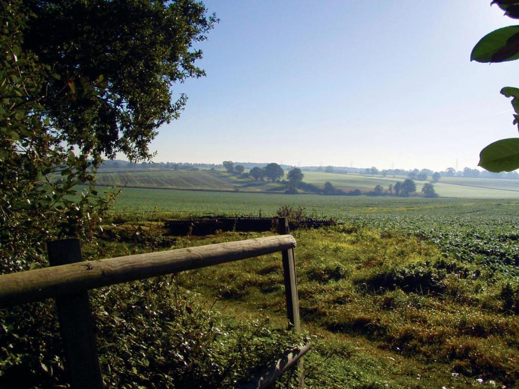 The Pheasant Public House & Hotel Gestingthorpe Rum bild
